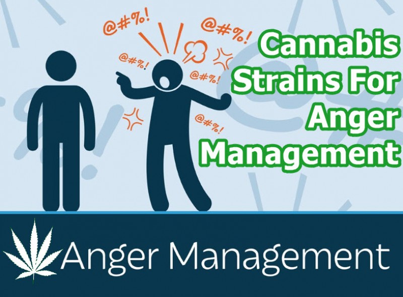 cannabis anger management