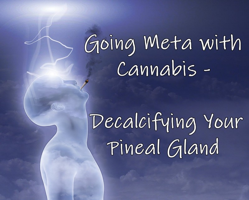 Going Meta with Cannabis - Decalcifying Your Pineal Gland