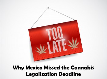 Why Mexico Missed the Cannabis Legalization Deadline