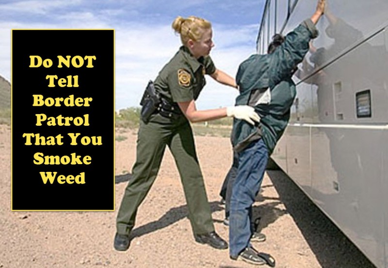 border patrol and cannabis