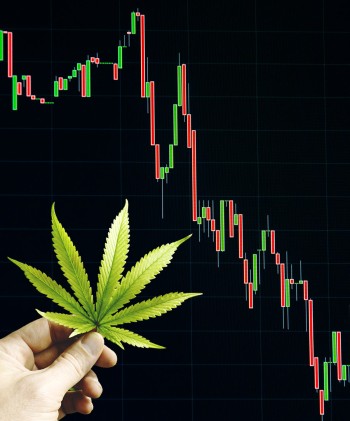 What Does the Shutting Down of the AdvisorShares Cannabis ETF Investment Fund Say About the Future of the Marijuana Industry?