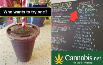 CBD Smoothies and Shakes For Healthy Living at Nectar in Maine
