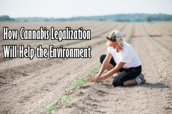 Legalizing Marijuana Will Help The Environment