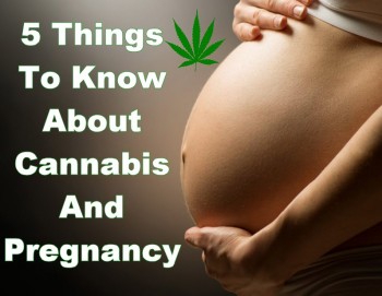 5 Things To Know About Cannabis And Pregnancy
