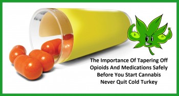 The Importance Of Tapering Off Opioids And Medications Safely Before You Start Cannabis