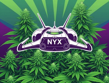 The Nyx Space Capsule Carrying Cannabis Plants and Human Remains Crashes Back to Earth, Now What?