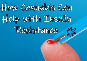 How Cannabis Can Help with Insulin Resistance