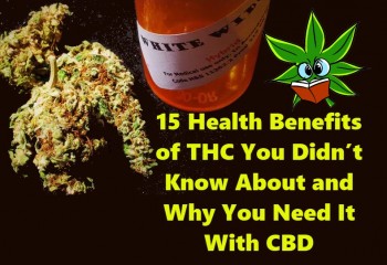 15 Benefits of THC That You Didn't Know About and Why You Need it with CBD
