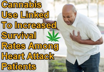Cannabis Use Linked To Increased Survival Rates Among Heart Attack Patients