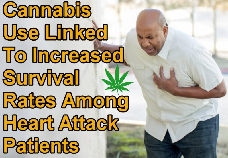 cannabis for heart attacks