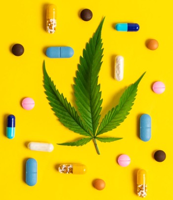 The Trillion-Dollar Question: Why Big Pharma's Monopoly Fights to Keep Cannabis Illegal?