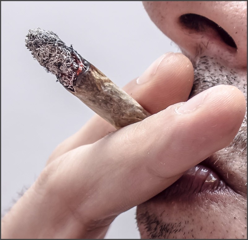cannabis ash study