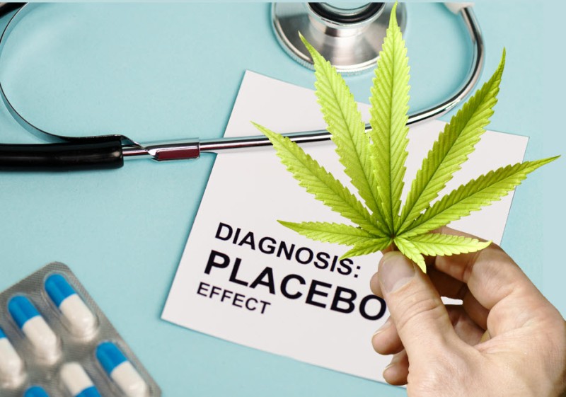 cannabis placebo effect