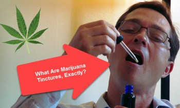 So What Exactly Are Marijuana Tinctures?