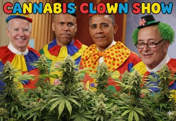 Think Democrats Can't Look Anymore Incompetent Right Now?—Trump Says 'Hold My Beer' and Reschedules Cannabis