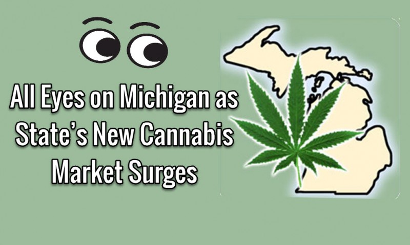 Michigan cannabis market