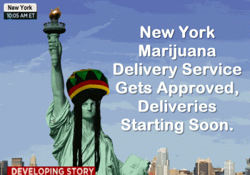 New York Marijuana Delivery Service Gets Approved By The State