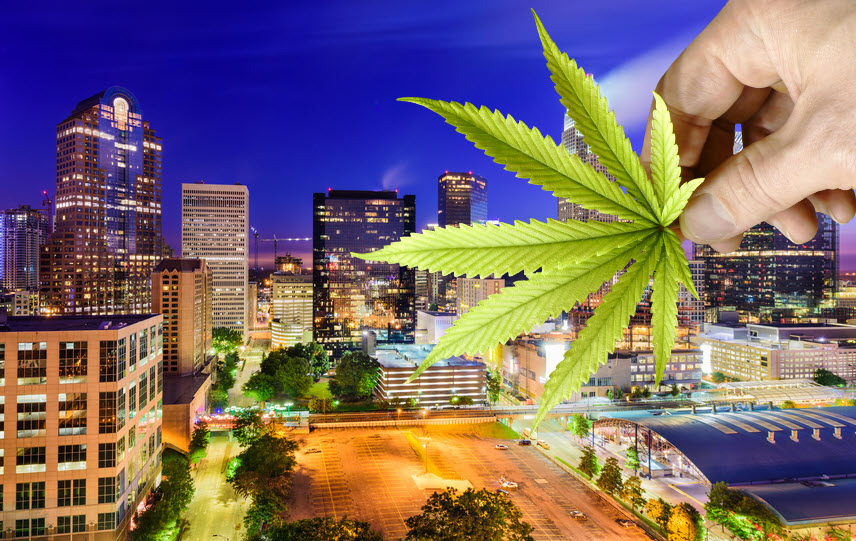 is-north-carolina-s-hemp-and-cbd-industry-about-to-close-overnight