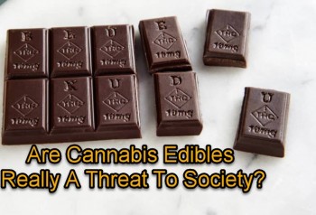 Are Cannabis Edibles Really A Threat To Society?