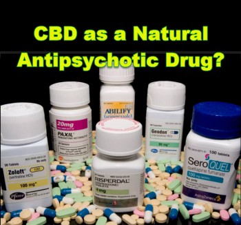 CBD as a Natural Antipsychotic Drug
