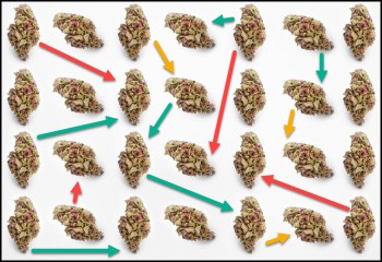 Mixing Cannabis Strains Together? - Don't Knock It Until You Try It!