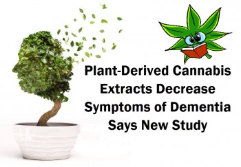 Plant-Derived Cannabis Extracts Decrease Symptoms Of Dementia Says New Study