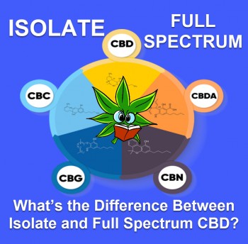 What’s the Difference Between Isolate and Full Spectrum CBD?