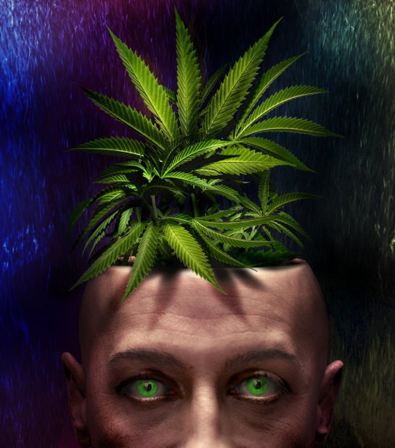 brain after prolonged cannabis smoking