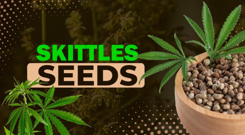skittles seeds