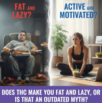 Does THC Make You Fat and Lazy, or is That an Outdated Myth?