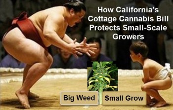 How California's Cottage Cannabis Bill Protects Small-Scale Growers
