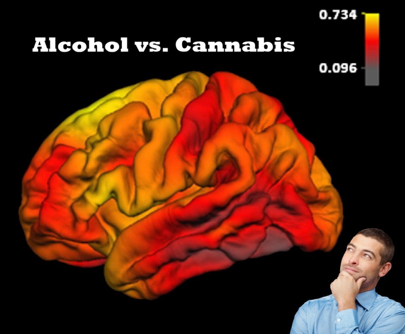 brain cortex thickness marijuana