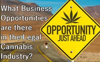 What Business Opportunities are there in Legal Cannabis?