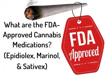 What are the FDA-Approved Cannabis Medications? (Epidiolex, Marinol, Sativex)