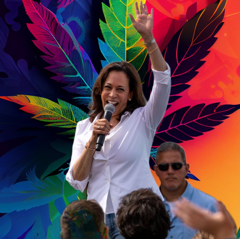 Kamala Harris on marijuana legalization