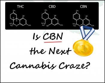 Is CBN the Next Cannabis Craze? (No Offense, CBD)