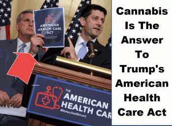 Cannabis Is The Answer To The American Health Care Act