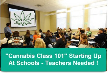 Cannabis Classes Coming To A School Near You