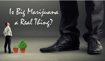 Is Big Marijuana a Real Thing?