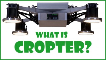 What is Cropter? (Hint: Big Buds with Spectral Light Tuning)