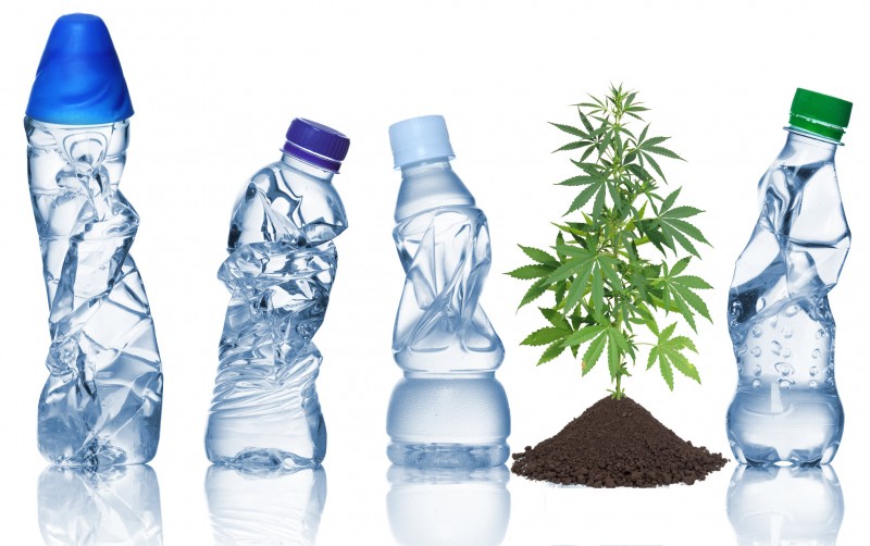 cannabis and hemp to be plastic negative