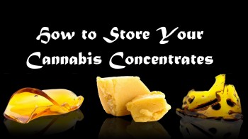How to Store Cannabis Concentrates - Keeping Your Dabs Fresh
