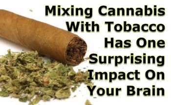Mixing Cannabis With Tobacco Has One Surprising Impact On Your Brain