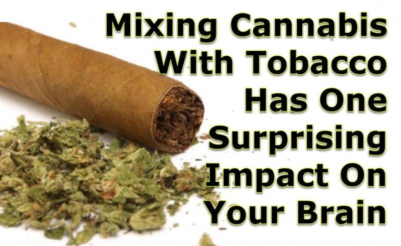 mixing cannabis and tobacco