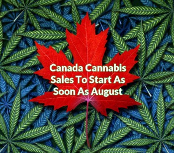 Canada Cannabis Sales To Start As Soon As August 1st