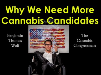 Why We Need More Cannabis Candidates
