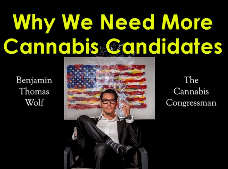 cannabis candidates