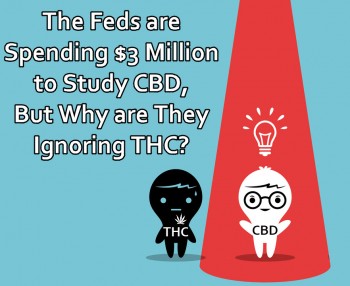The Feds are Spending $3 Million to Study CBD, But Why are They Ignoring THC?