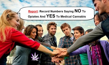 People Saying NO To Opiates And YES To Medical Cannabis