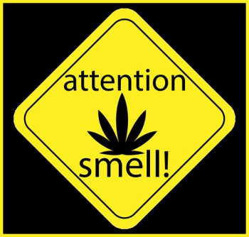 How to Quickly Get Rid of the Smell of Weed with Powerful Home Remedies